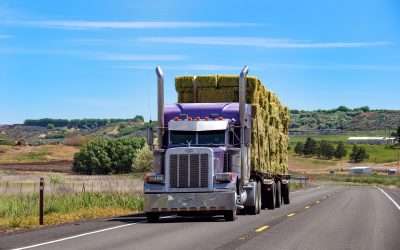 Understanding the Difference Between Biodiesel and Renewable Diesel: What’s Best for Your Fleet?