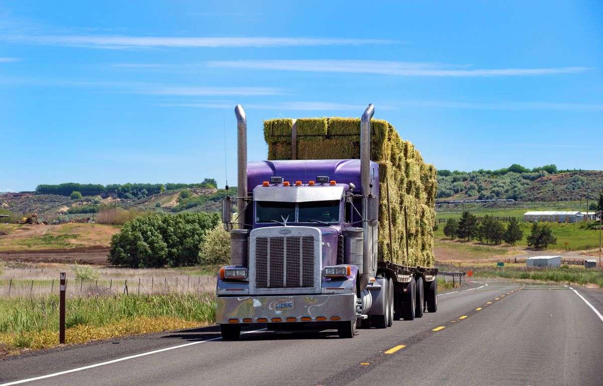 Difference between biodiesel and renewable diesel